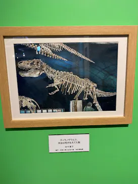 プレバト才能アリ展　芸能人の名作と劇的添削2012‐2026に投稿された画像（2026/8/31）