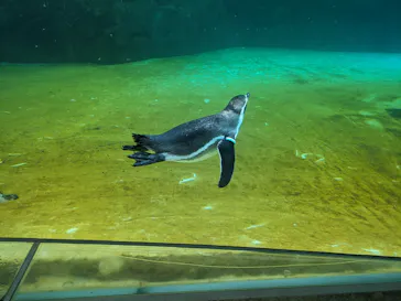 葛西臨海水族園に投稿された画像（2026/8/31）