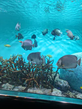 葛西臨海水族園に投稿された画像（2026/8/31）