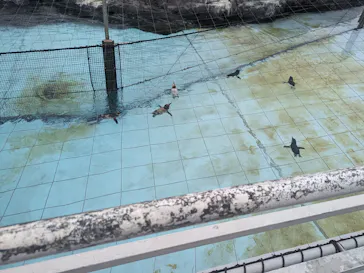 葛西臨海水族園に投稿された画像（2026/8/31）