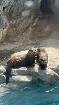 大分マリーンパレス水族館 「うみたまご」に投稿された画像（2026/8/31）