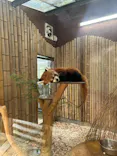 熱川バナナワニ園に投稿された画像（2026/8/31）