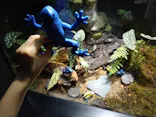 サンシャイン水族館に投稿された画像（2026/8/31）