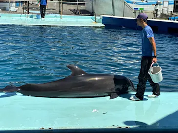 越前松島水族館に投稿された画像（2026/8/31）