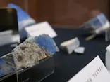 国立科学博物館に投稿された画像（2026/8/31）