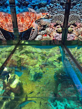 越前松島水族館に投稿された画像（2026/8/31）