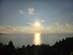 福井県立恐竜博物館に投稿された画像（2026/8/31）