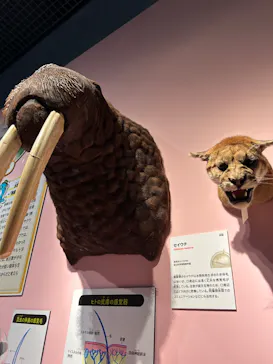 特別展「いきもの超ワールド展　国立科学博物館×ダーウィンが来た！」（国立科学博物館）に投稿された画像（2026/8/31）