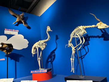 特別展「いきもの超ワールド展　国立科学博物館×ダーウィンが来た！」（国立科学博物館）に投稿された画像（2026/8/31）