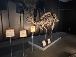 ヨコハマ恐竜展２０２６～恐竜の食卓大図鑑～に投稿された画像（2026/8/31）