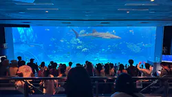 沖縄美ら海水族館に投稿された画像（2026/8/31）