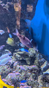 仙台うみの杜水族館に投稿された画像（2026/8/31）