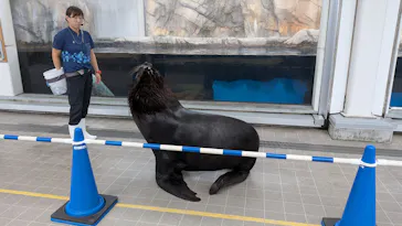 仙台うみの杜水族館に投稿された画像（2026/8/31）