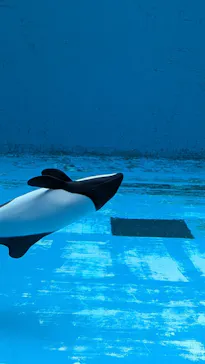 仙台うみの杜水族館に投稿された画像（2026/8/31）