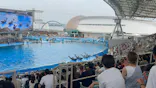 名古屋港水族館に投稿された画像（2026/8/31）