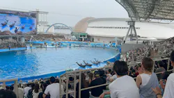 名古屋港水族館に投稿された画像（2026/8/31）