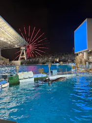 名古屋港水族館に投稿された画像（2026/8/31）