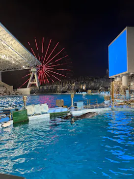 名古屋港水族館に投稿された画像（2026/8/31）
