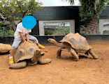 体感型動物園iZooに投稿された画像（2026/8/31）