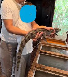 体感型動物園iZooに投稿された画像（2026/8/31）