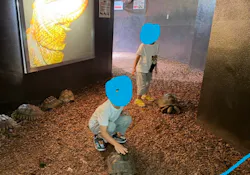 体感型動物園iZooに投稿された画像（2026/8/31）