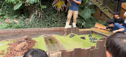 体感型動物園iZooに投稿された画像（2026/8/31）