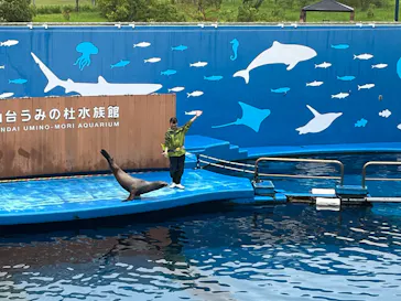 仙台うみの杜水族館に投稿された画像（2026/8/31）