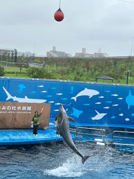 仙台うみの杜水族館に投稿された画像（2026/8/31）