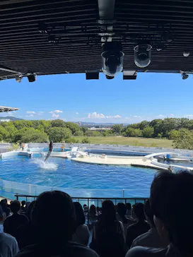 京都水族館に投稿された画像（2026/8/31）