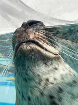 京都水族館に投稿された画像（2026/8/31）