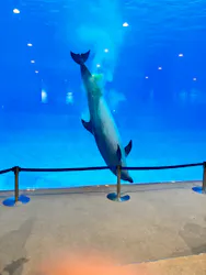 名古屋港水族館に投稿された画像（2026/8/31）