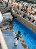 アクアワールド茨城県大洗水族館に投稿された画像（2026/8/31）