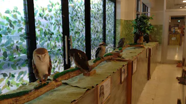 Moff animal world BIGHOPガーデンモール印西店に投稿された画像（2026/8/31）
