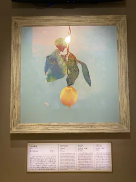 大塚国際美術館に投稿された画像（2026/8/31）