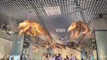 国立科学博物館に投稿された画像（2026/9/1）