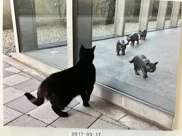 尾道市立美術館に投稿された画像（2026/8/31）