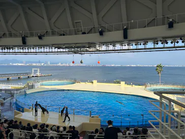 マリンワールド海の中道に投稿された画像（2026/9/1）