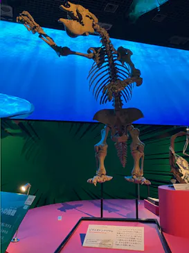 特別展「いきもの超ワールド展　国立科学博物館×ダーウィンが来た！」（国立科学博物館）に投稿された画像（2026/9/1）