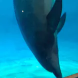 名古屋港水族館に投稿された画像（2026/9/1）