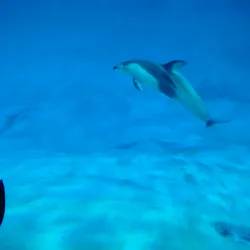 名古屋港水族館に投稿された画像（2026/9/1）