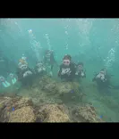 武藤潜水に投稿された画像（2026/9/1）