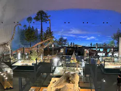 福井県立恐竜博物館に投稿された画像（2026/9/1）