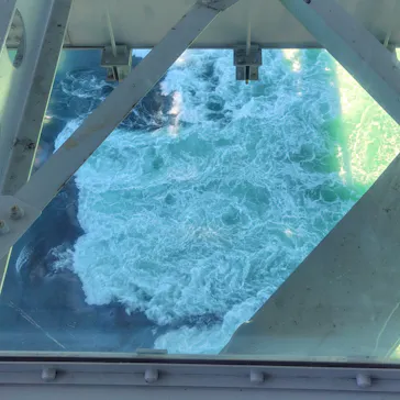 徳島県立 渦の道に投稿された画像（2026/9/1）