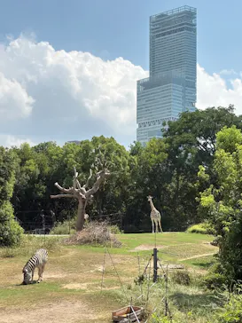 天王寺動物園に投稿された画像（2026/9/1）