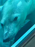 天王寺動物園に投稿された画像（2026/9/1）