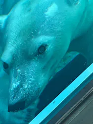 天王寺動物園に投稿された画像（2026/9/1）