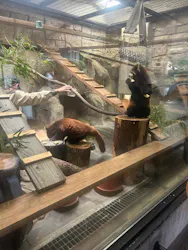 天王寺動物園に投稿された画像（2026/9/1）