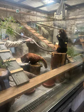 天王寺動物園に投稿された画像（2026/9/1）