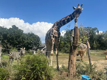 天王寺動物園に投稿された画像（2026/9/1）