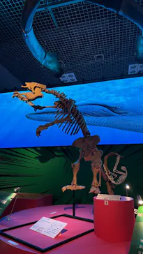 特別展「いきもの超ワールド展　国立科学博物館×ダーウィンが来た！」（国立科学博物館）に投稿された画像（2026/9/1）